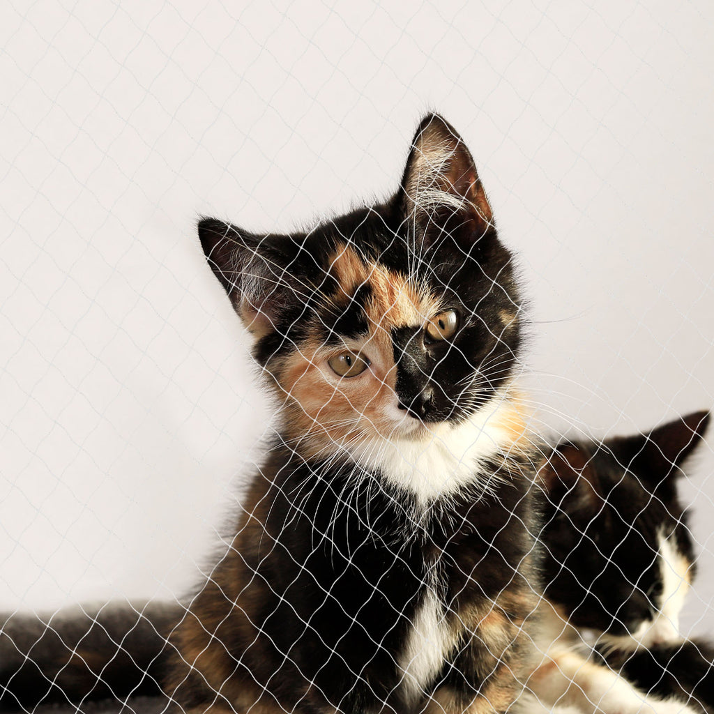 Cats - Katzenschutznetz für Balkon & Fenster