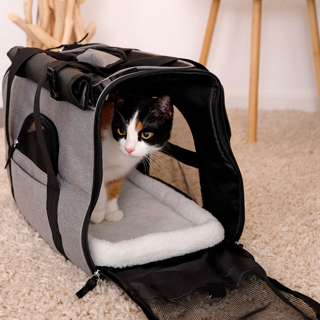 Cats - Katzentransporttasche